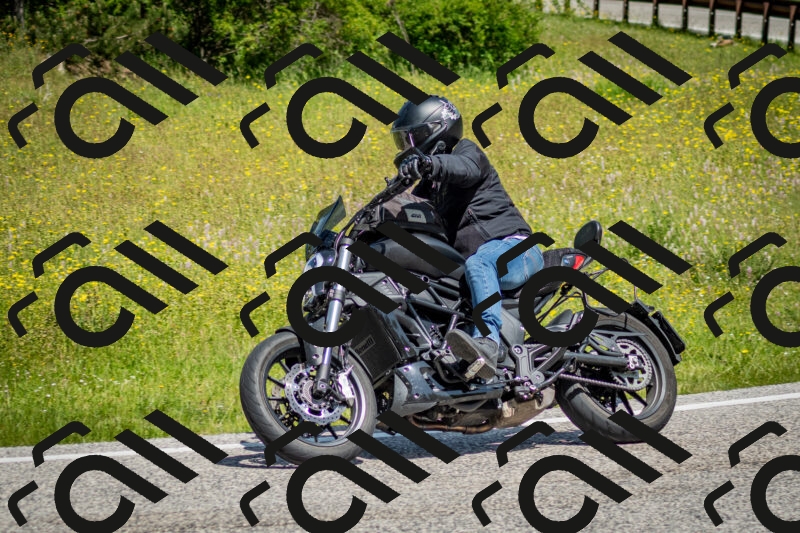 202506071137-DSC_4882_c2