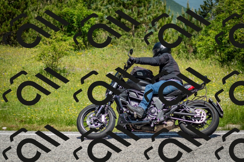 202506071137-DSC_4883_c2