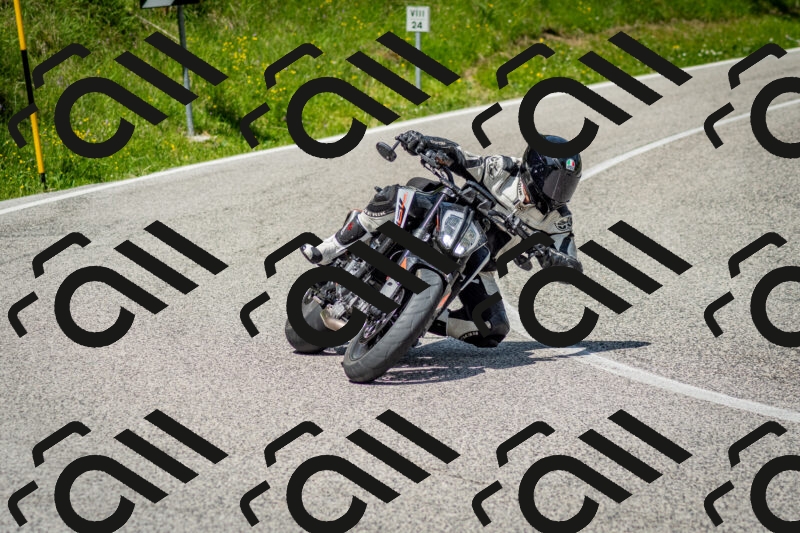 202506071137-DSC_4891_c2