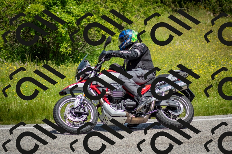 202506071138-DSC_4898_c2