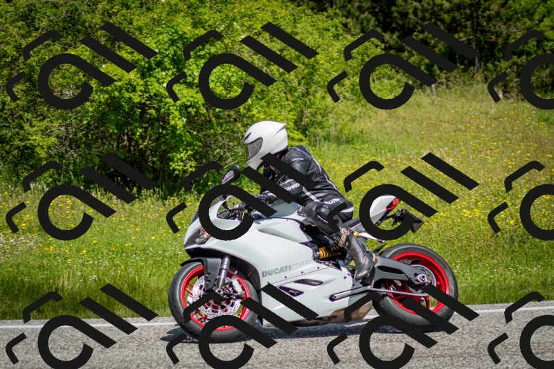 202506071139-DSC_4914_c2