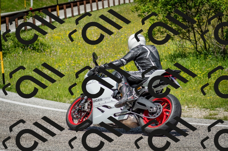 202506071139-DSC_4915_c2