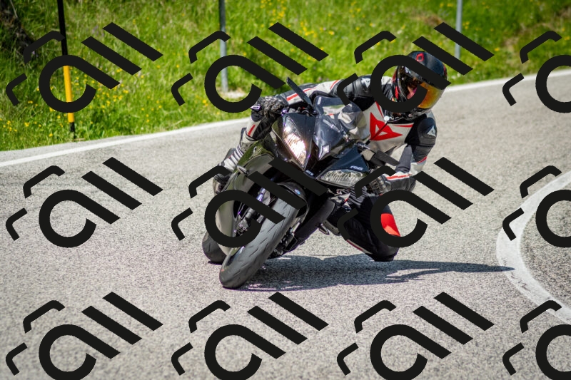 202506071139-DSC_4916_c2