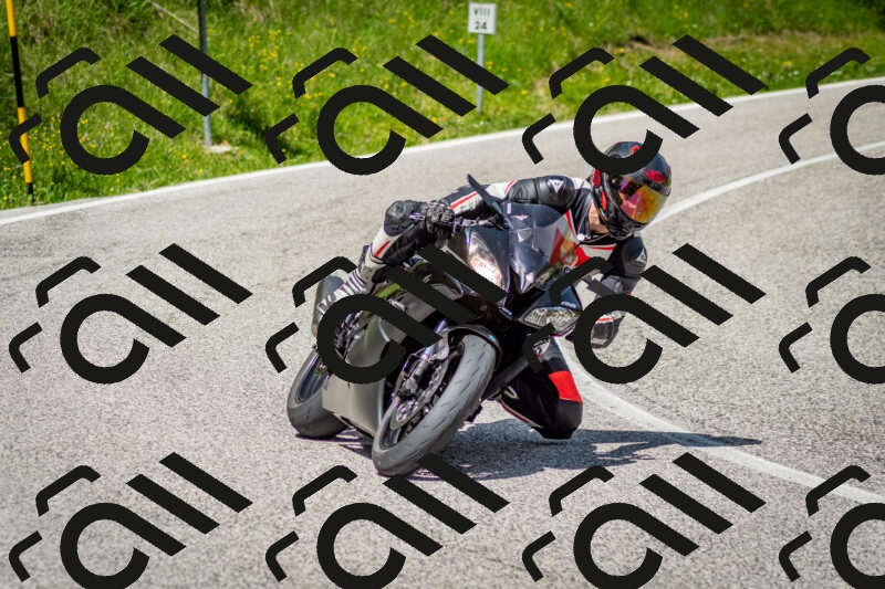 202506071139-DSC_4917_c2