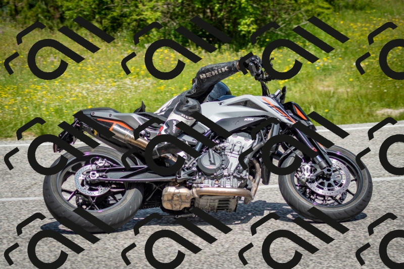 202506071139-DSC_4925_c2