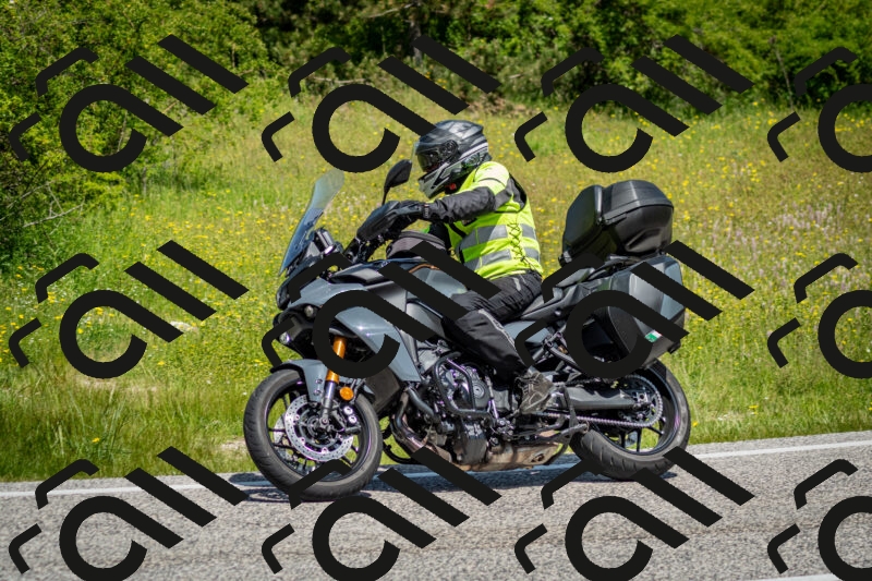 202506071140-DSC_4935_c2