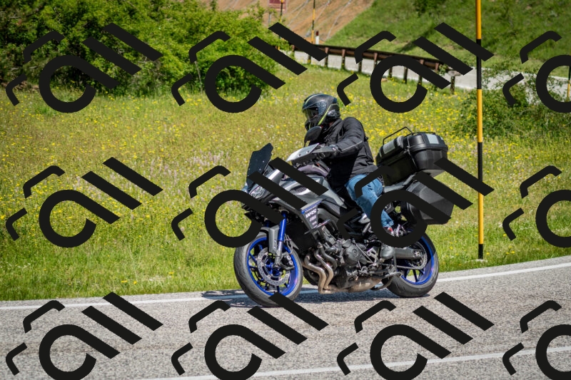 202506071140-DSC_4938_c2