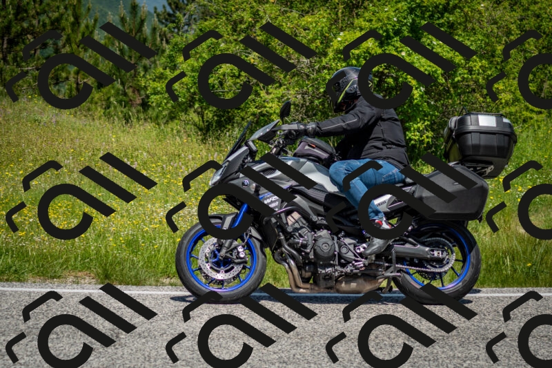 202506071140-DSC_4939_c2