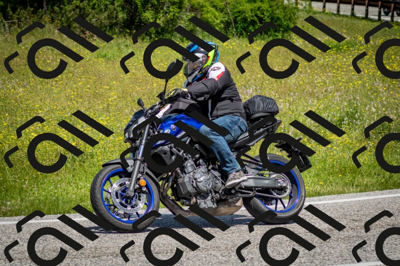 202506071140-DSC_4940_c2