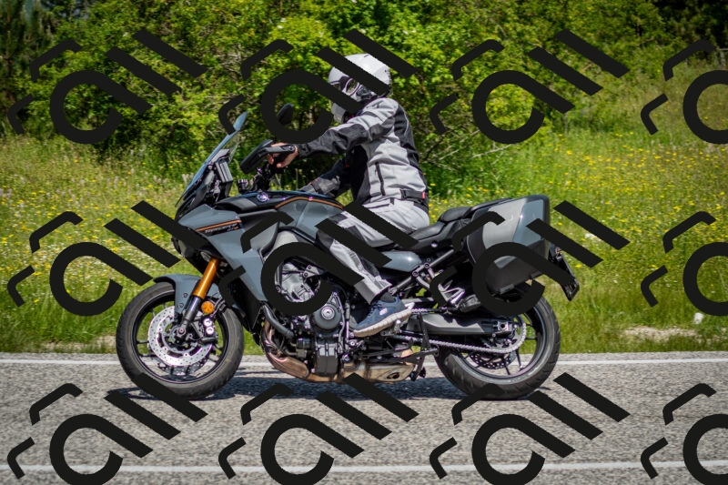 202506071140-DSC_4941_c2