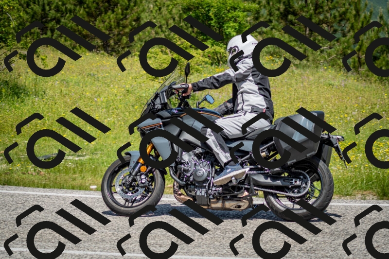 202506071140-DSC_4942_c2