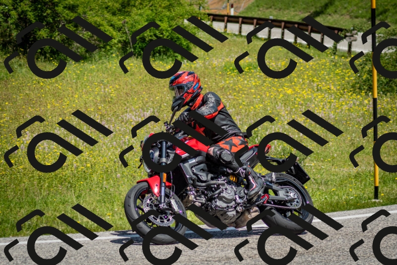 202506071140-DSC_4944_c2