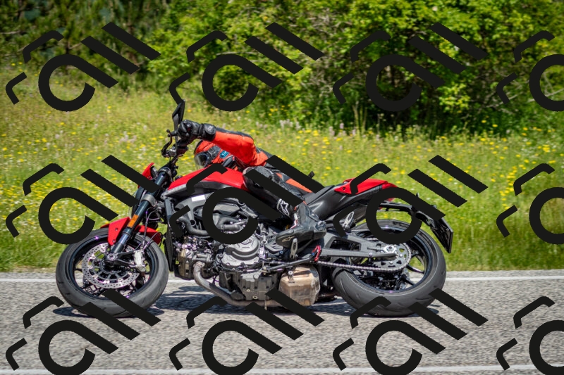 202506071142-DSC_4958_c2