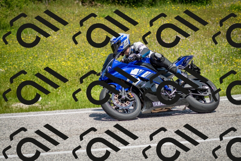 202506071142-DSC_4959_c2