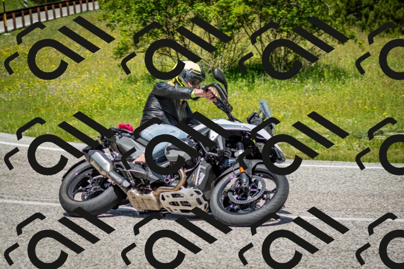 202506071142-DSC_4963_c2