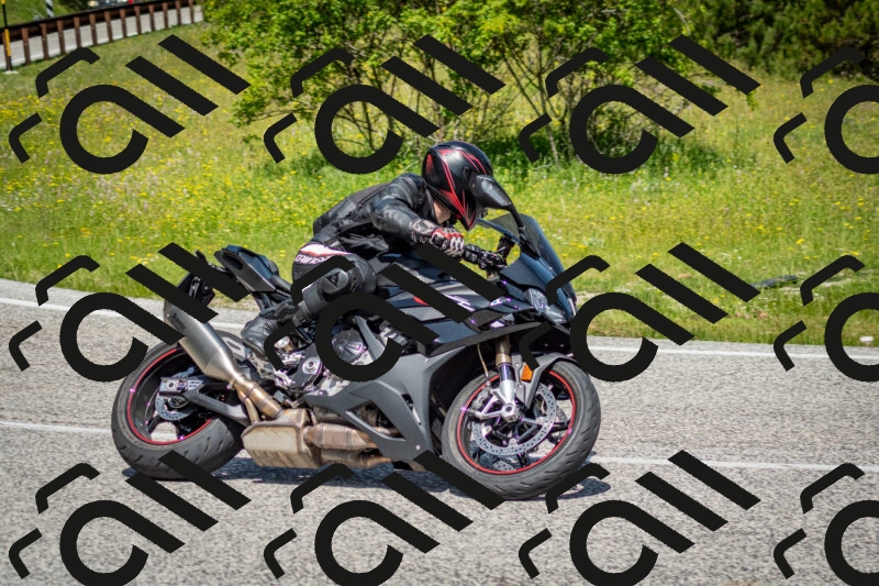 202506071144-DSC_4973_c2