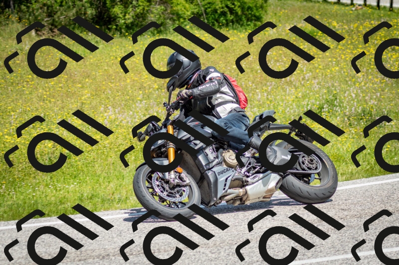 202506071144-DSC_4977_c2