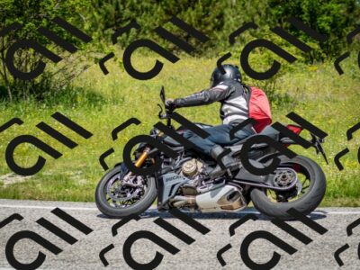 202506071144-DSC_4978_c2