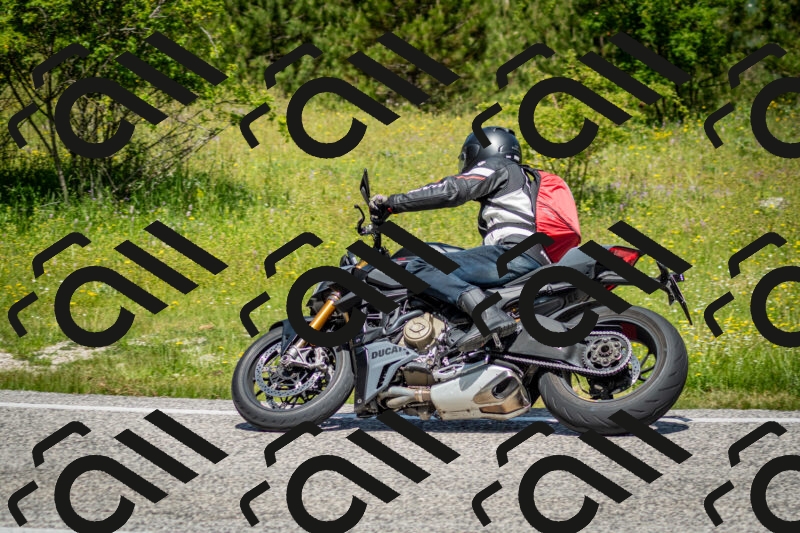 202506071144-DSC_4978_c2