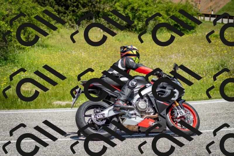 202506071145-DSC_4995_c2