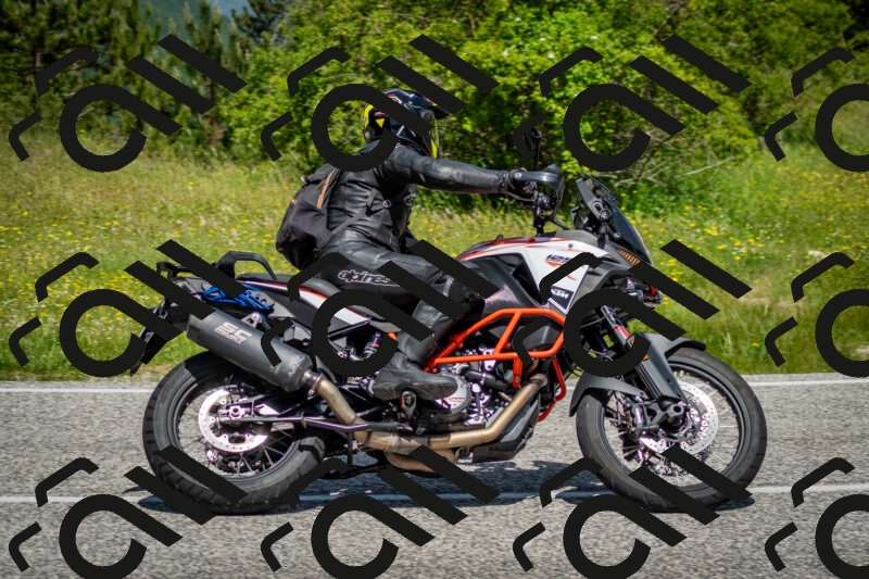 202506071145-DSC_5001_c2