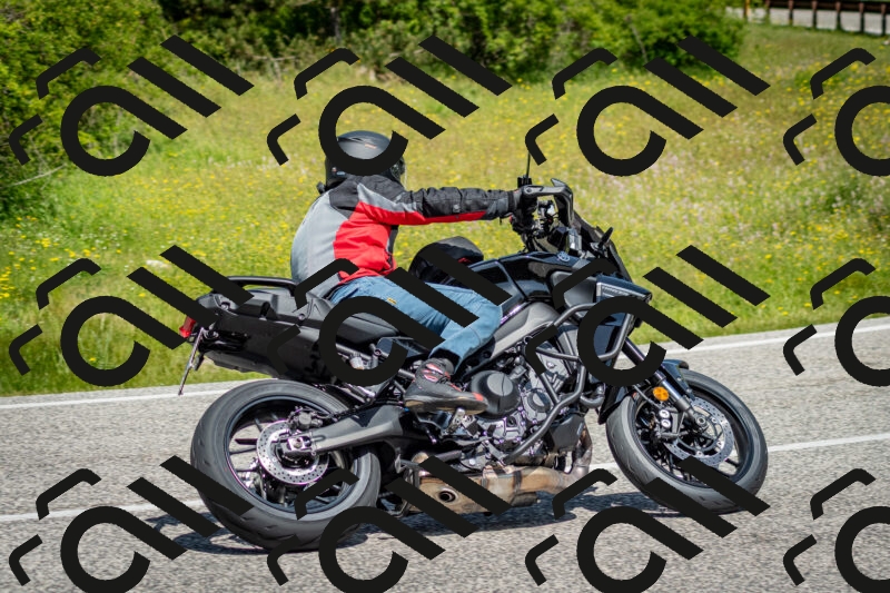 202506071145-DSC_5004_c2