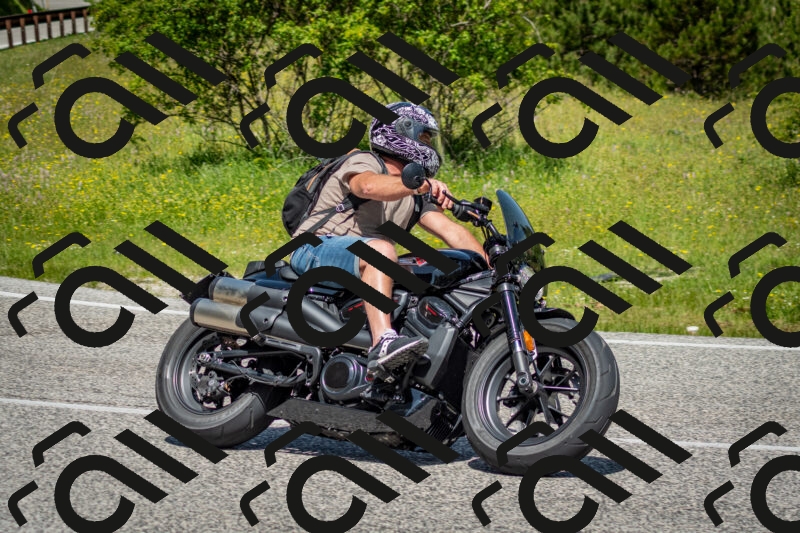 202506071146-DSC_5006_c2