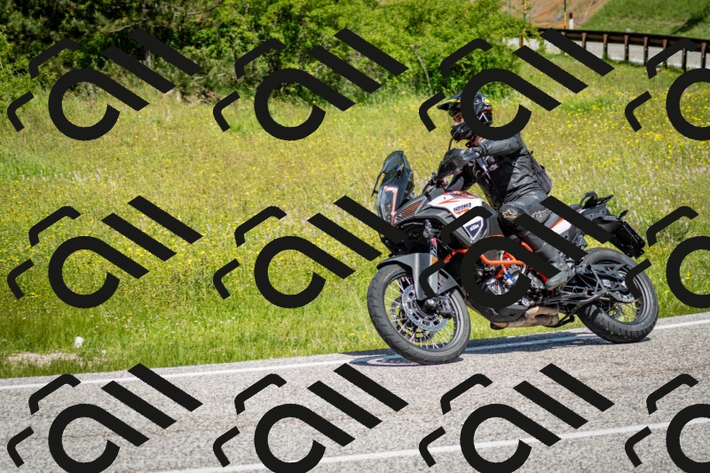 202506071148-DSC_5020_c2