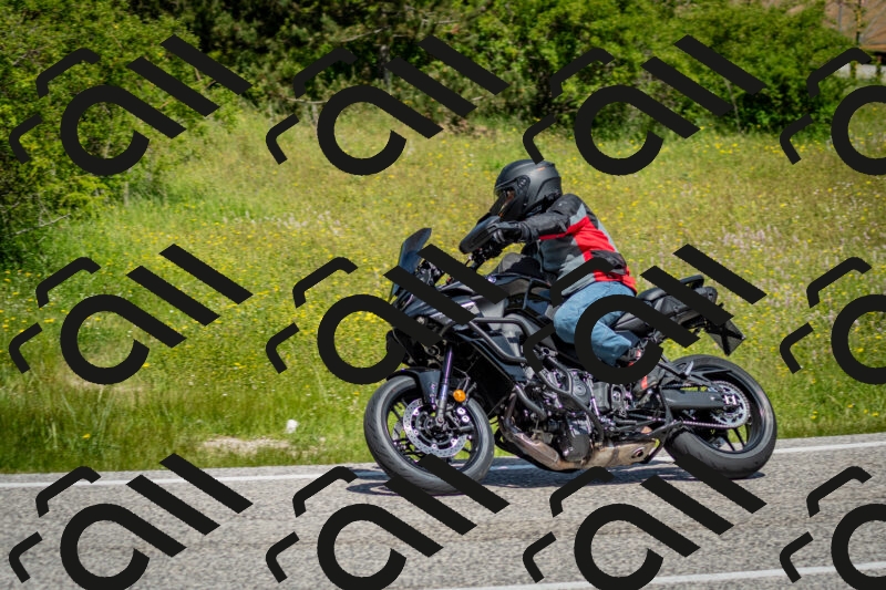 202506071148-DSC_5021_c2