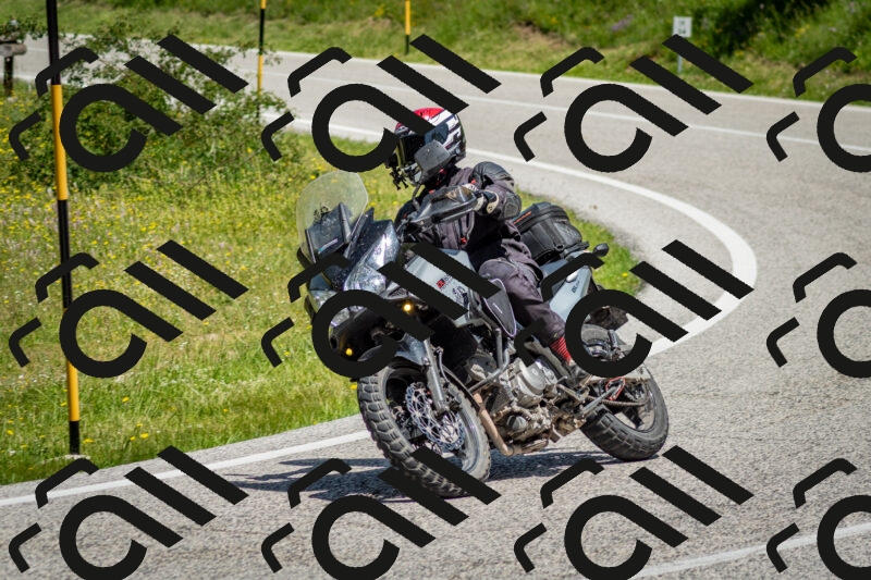 202506071150-DSC_5024_c2