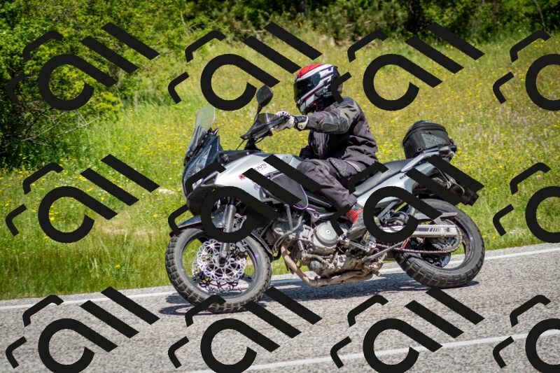 202506071150-DSC_5025_c2