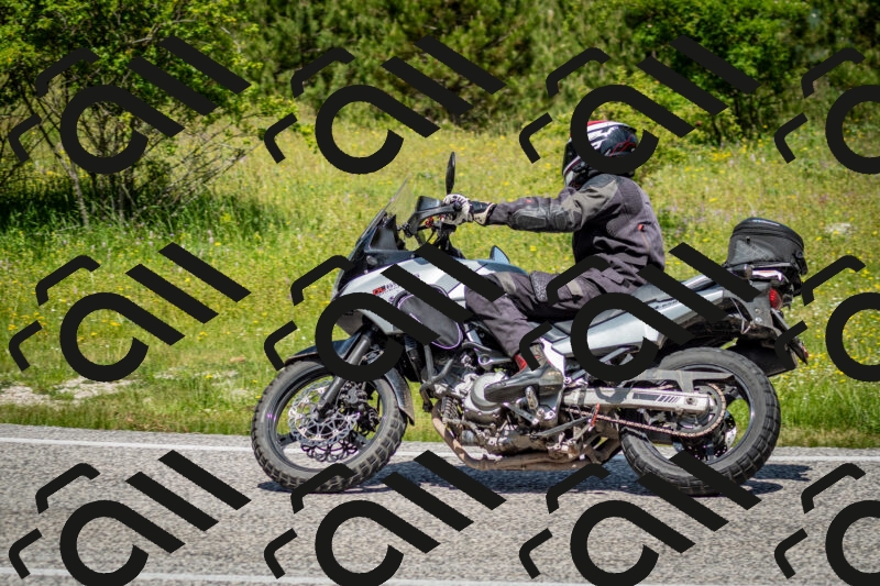 202506071150-DSC_5026_c2