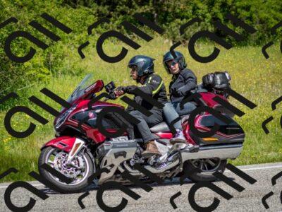 202506071151-DSC_5028_c2