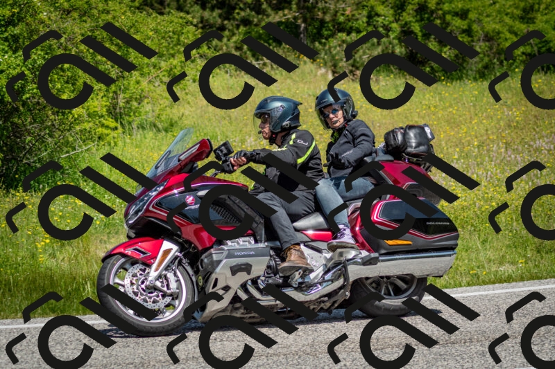 202506071151-DSC_5028_c2