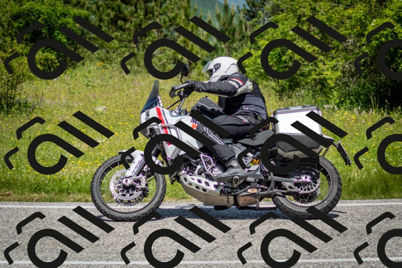 202506071151-DSC_5032_c2