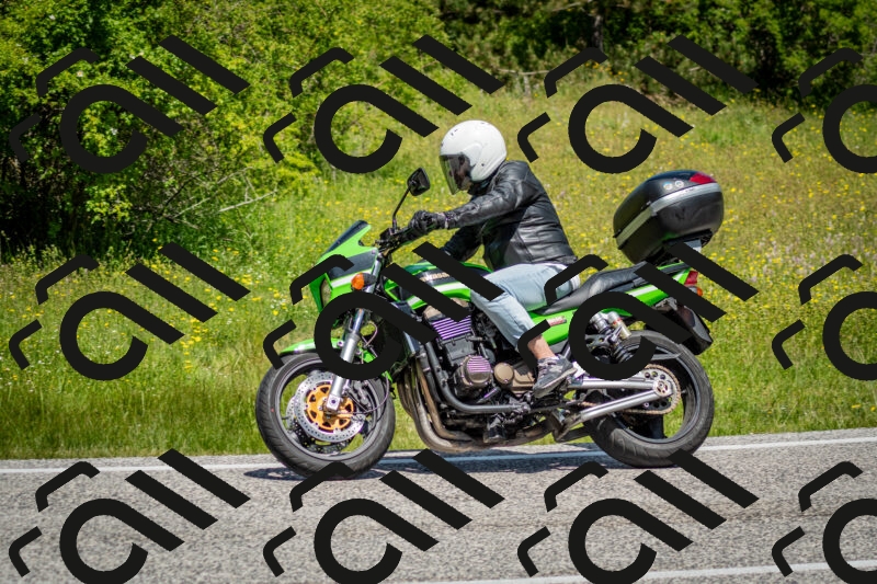 202506071152-DSC_5034_c2