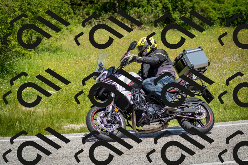 202506071155-DSC_5046_c2