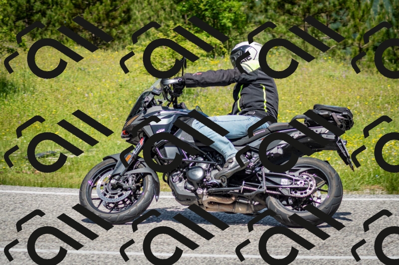 202506071155-DSC_5050_c2