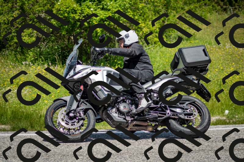 202506071155-DSC_5051_c2