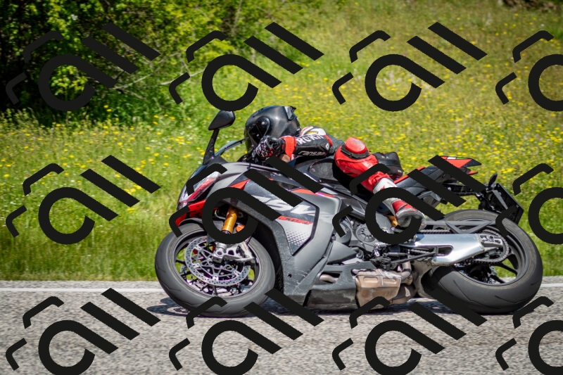 202506071155-DSC_5059_c2