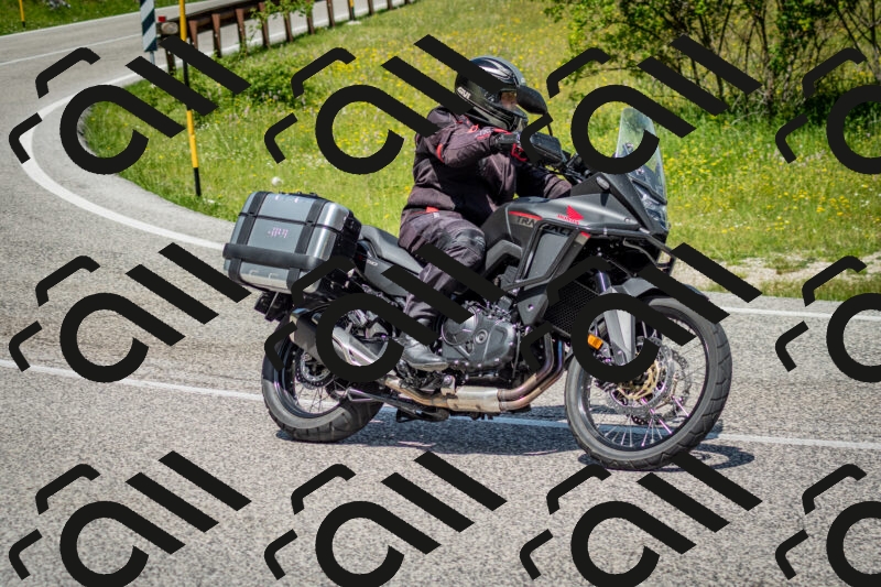 202506071156-DSC_5075_c2