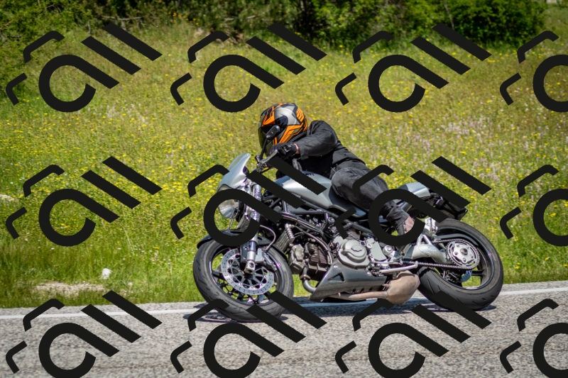 202506071200-DSC_5093_c2