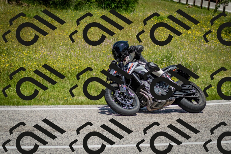 202506071203-DSC_5101_c2