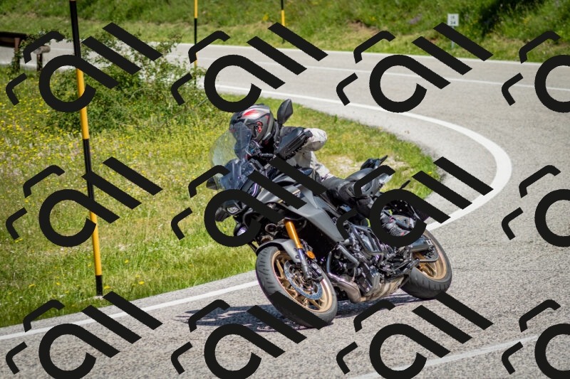 202506071204-DSC_5103_c2