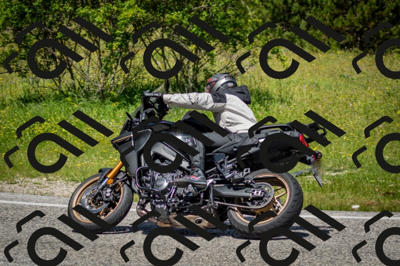 202506071204-DSC_5104_c2