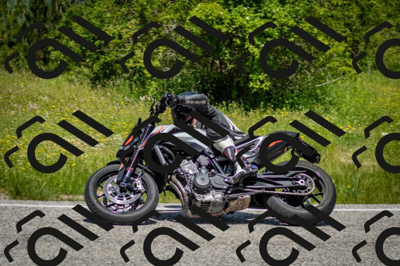 202506071205-DSC_5109_c2