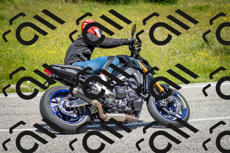 202506071206-DSC_5114_c2