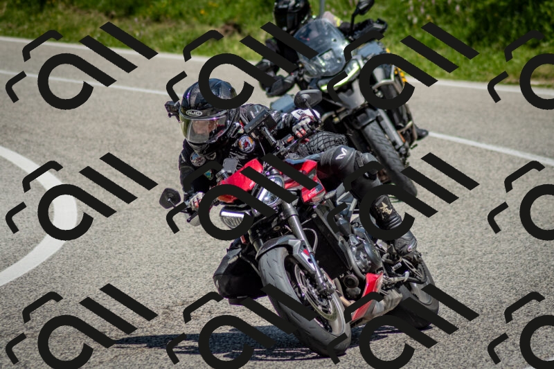 202506071206-DSC_5115_c2