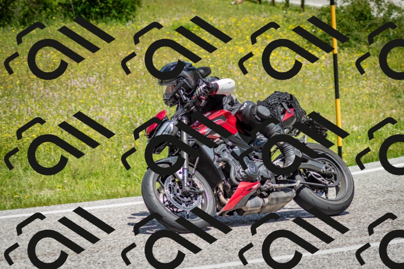 202506071206-DSC_5116_c2