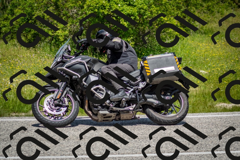 202506071206-DSC_5118_c2